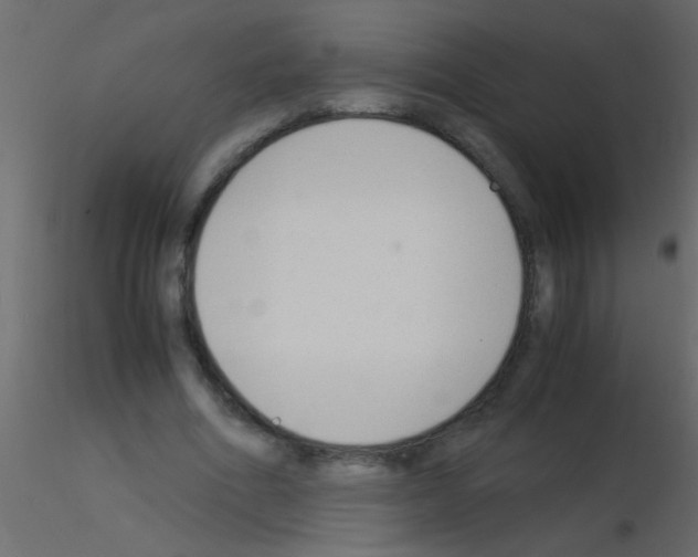 X0000115840586200912242018