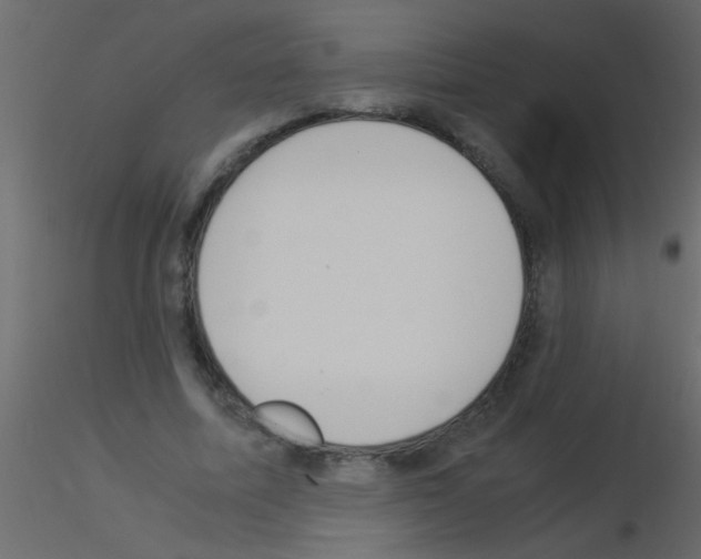 X0000115840587200912242018