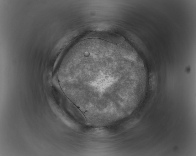 X0000115840589200912242018