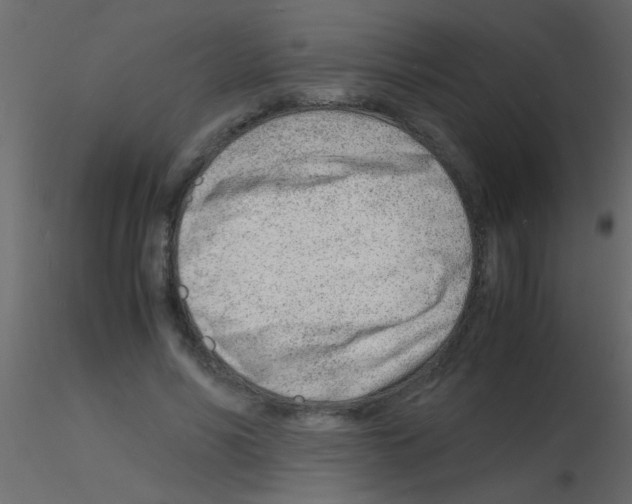 X0000115840590200912242018