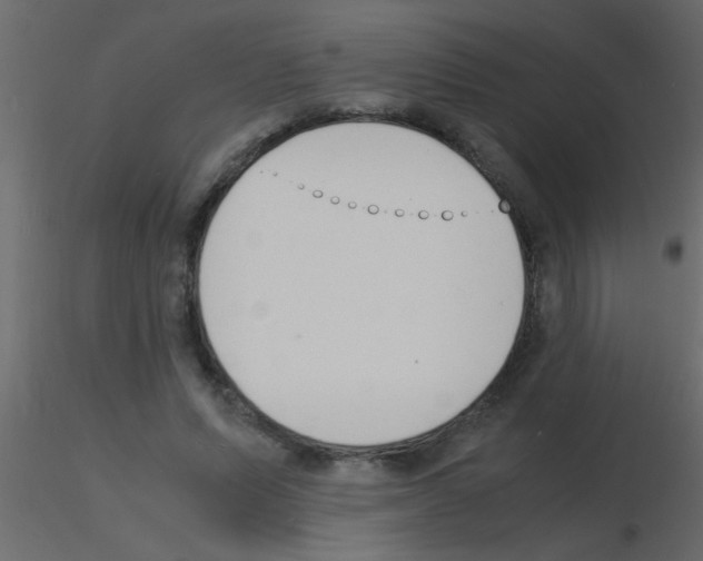 X0000115840591200912242018