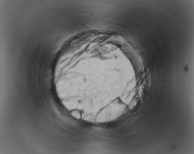 X0000115840592200912242018