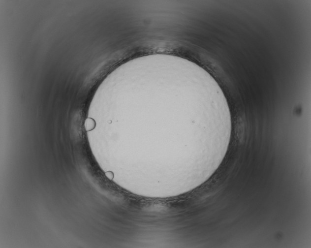 X0000115840594200912242018