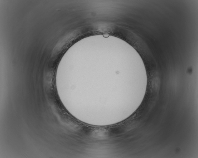 X0000115840595200912242018