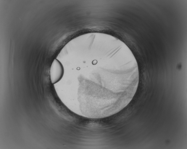 X0000115840596200912242018