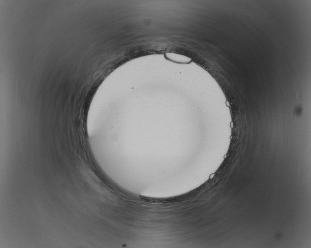 X0000115840597200912242018