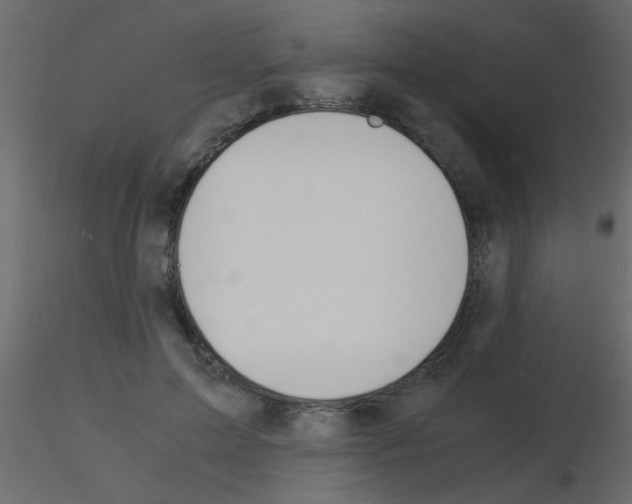 X0000115840599200912242018