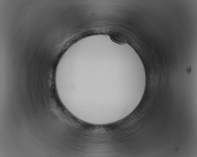 X0000115840600200912242018