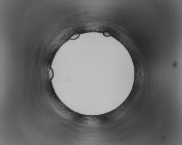 X0000115840601200912242018