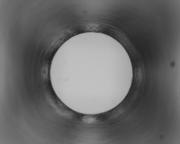 X0000115840602200912242018