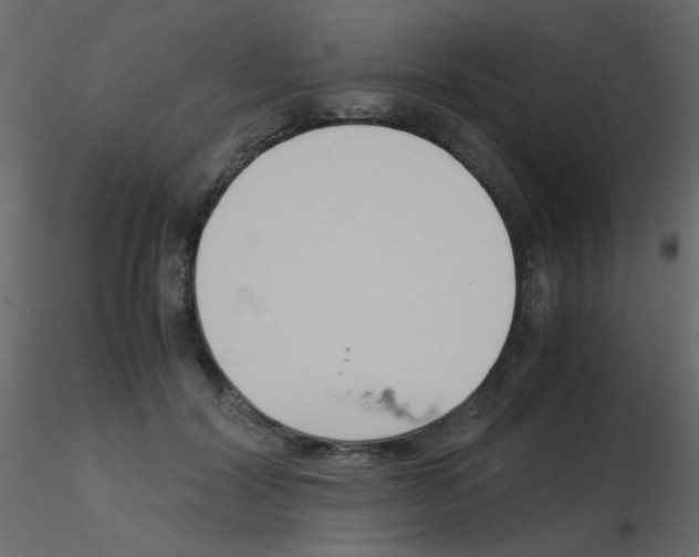 X0000115840604200912242018