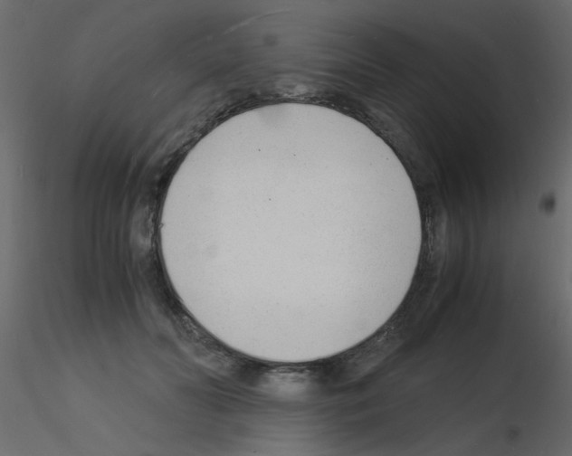 X0000115840606200912242018