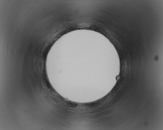 X0000115840608200912242018