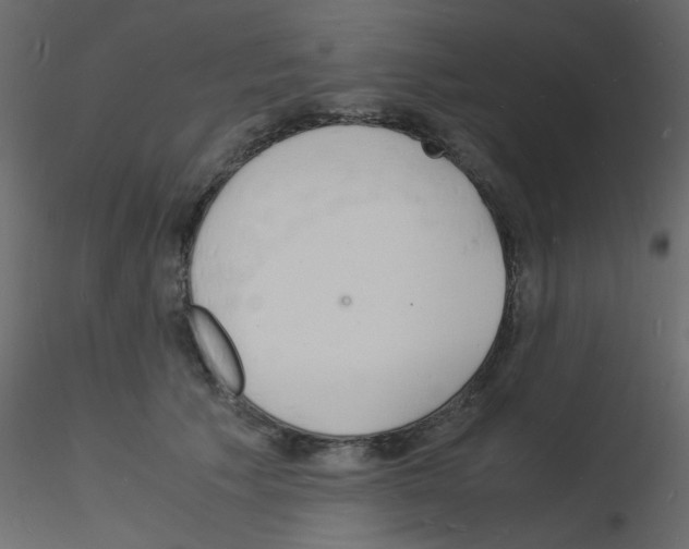 X0000115840609200912242018