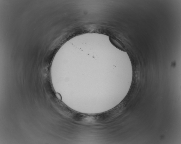 X0000115840611200912242018