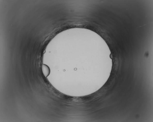 X0000115840612200912242018