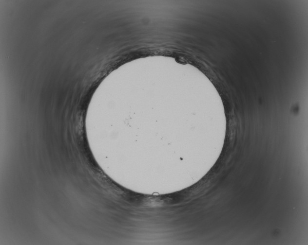 X0000115840613200912242018