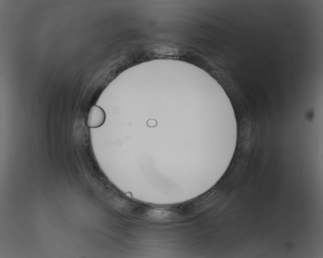 X0000115840614200912242018