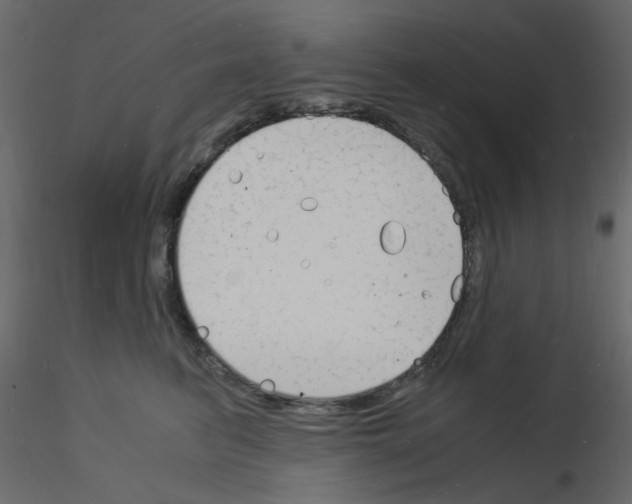 X0000115840615200912242018