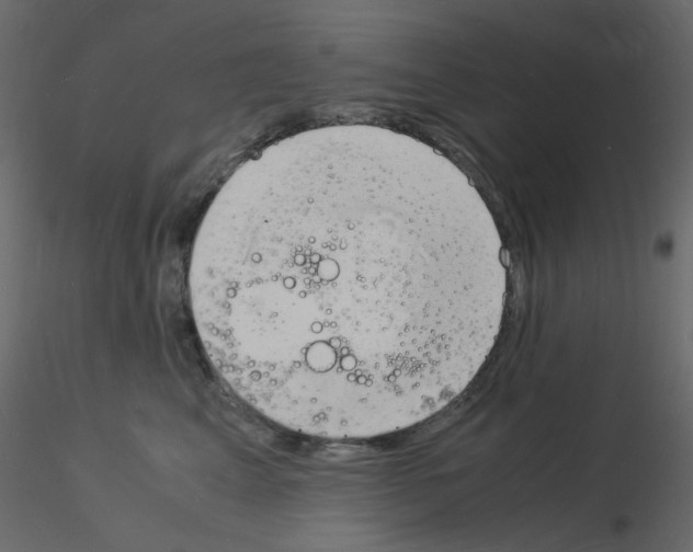 X0000115840617200912242018