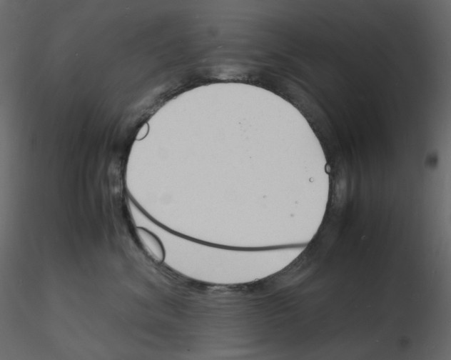 X0000115840620200912242018