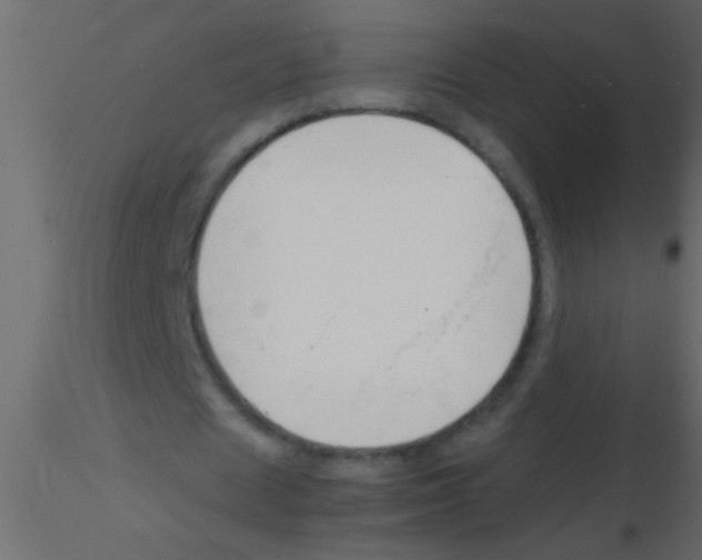 X0000115840625200912242017