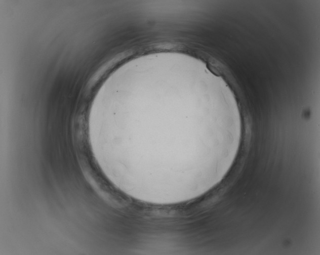 X0000115840626200912242017