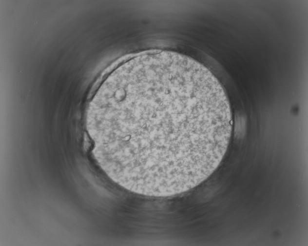 X0000115840627200912242017