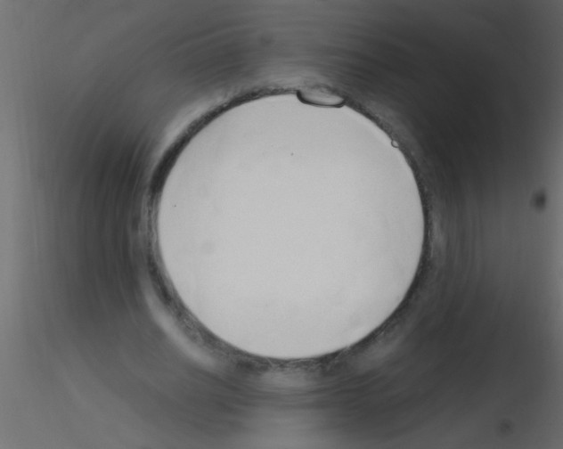 X0000115840630200912242017