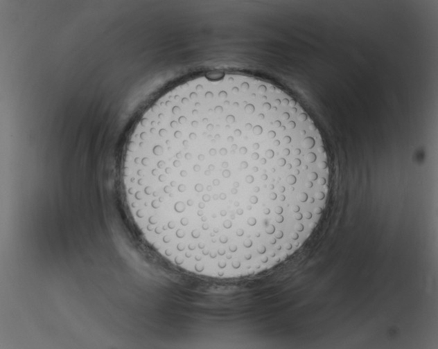 X0000115840631200912242017