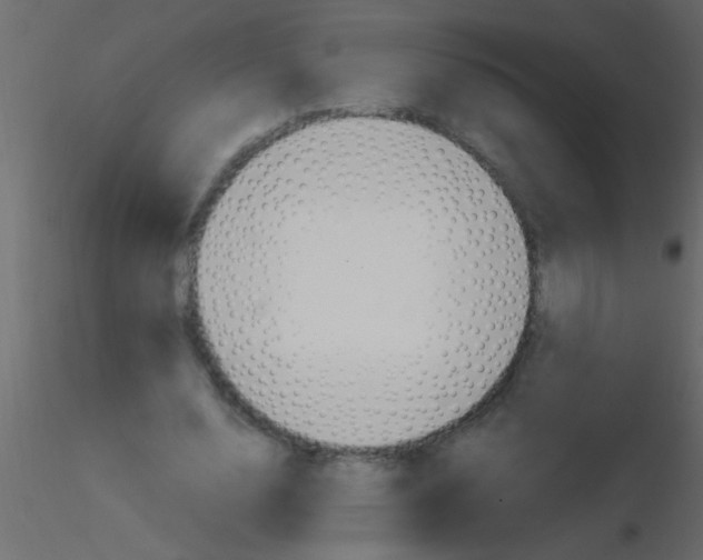 X0000115840632200912242017