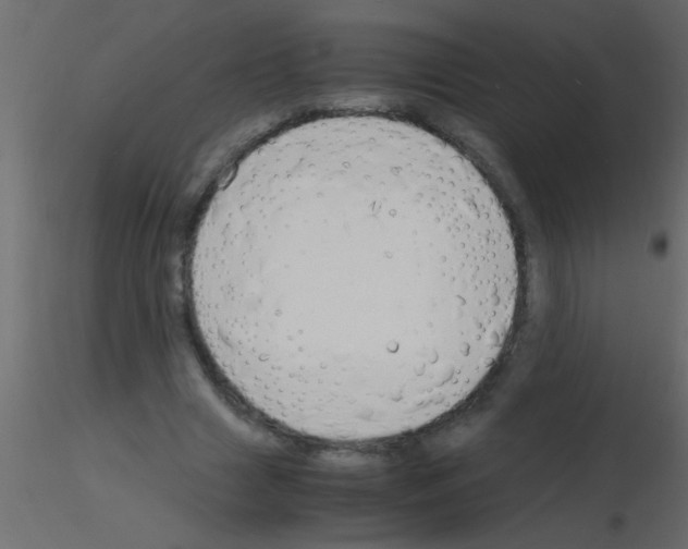 X0000115840633200912242017