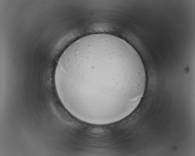 X0000115840635200912242017