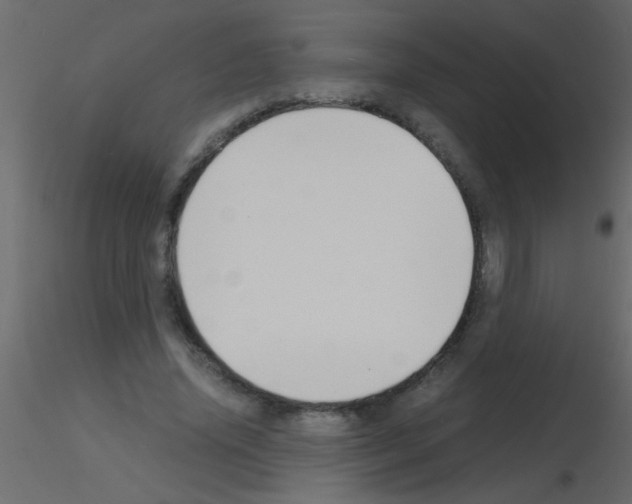 X0000115840636200912242017