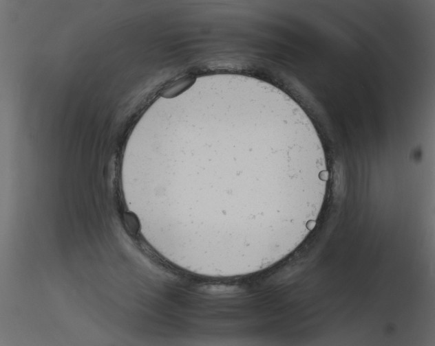 X0000115840637200912242017