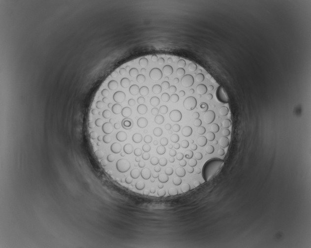 X0000115840639200912242017