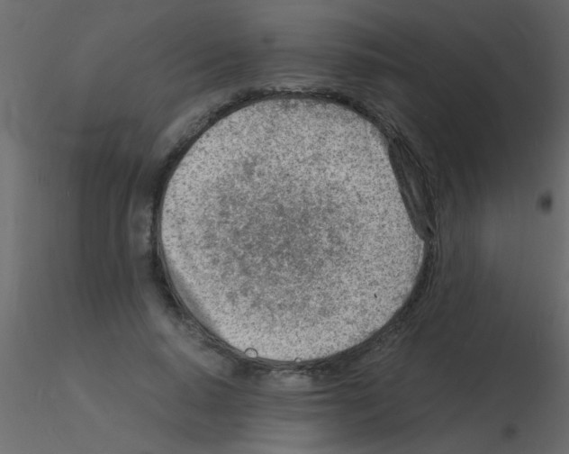 X0000115840640200912242017