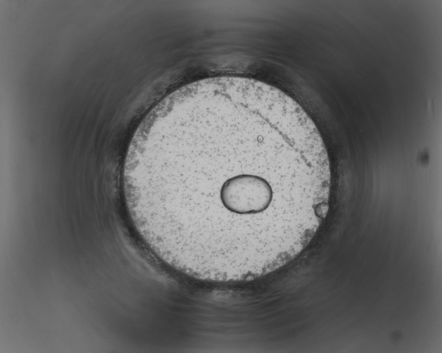 X0000115840641200912242017