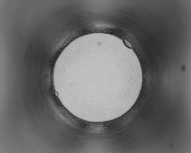 X0000115840642200912242017