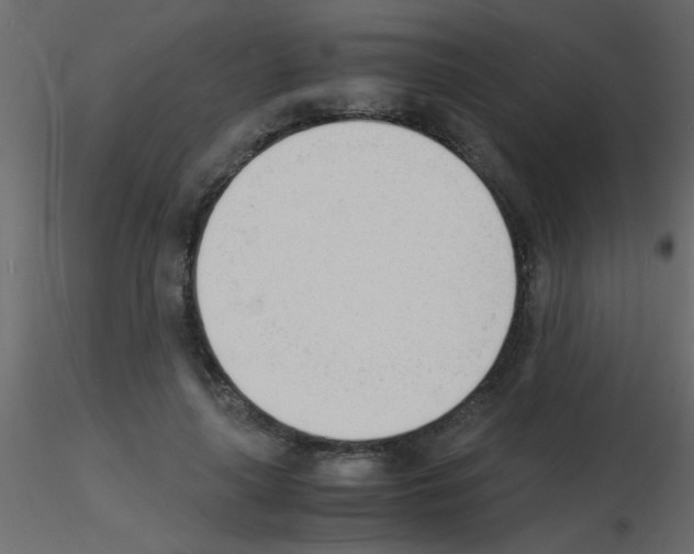 X0000115840643200912242017