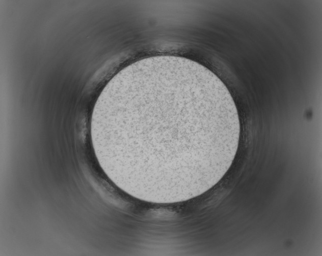 X0000115840644200912242017