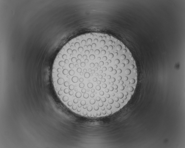 X0000115840646200912242018