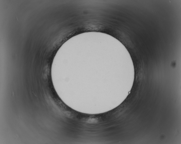 X0000115840647200912242018