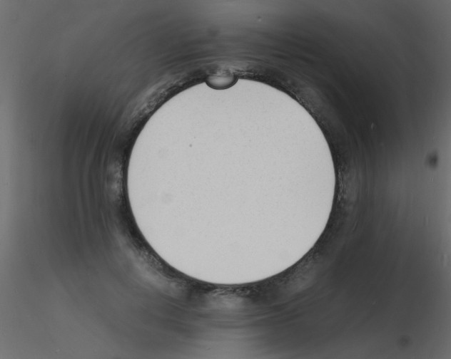 X0000115840648200912242018