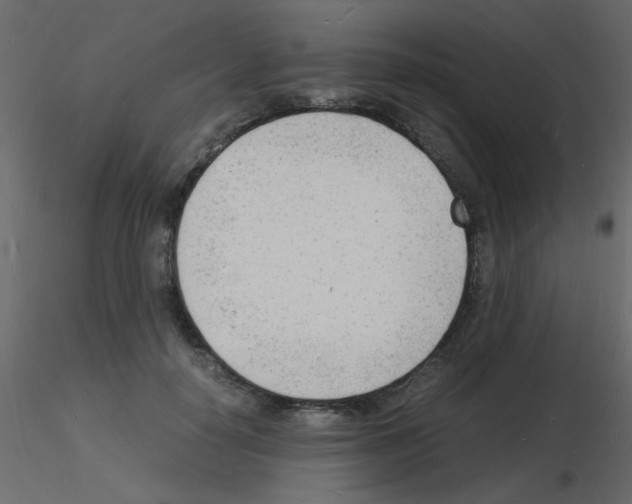 X0000115840650200912242018