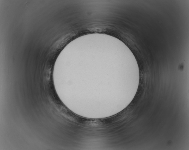 X0000115840652200912242018