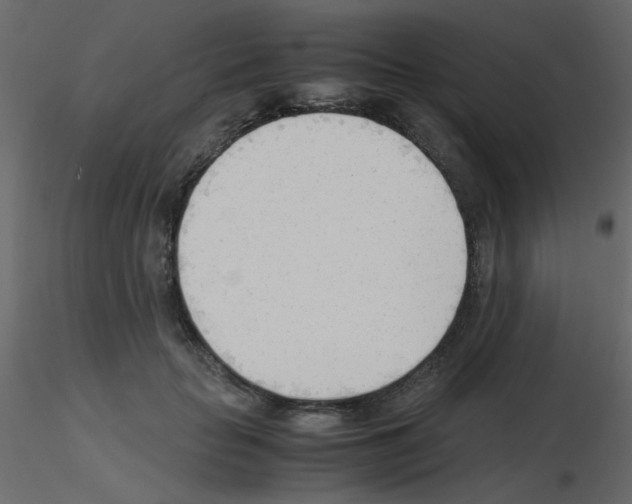 X0000115840653200912242018