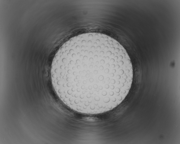 X0000115840654200912242018