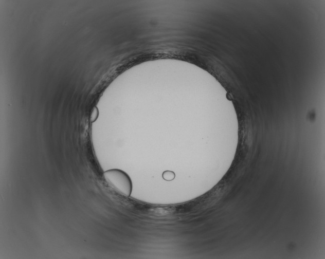 X0000115840660200912242018