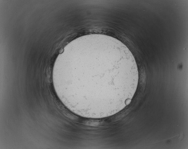 X0000115840661200912242018